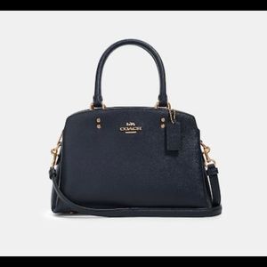NEW! Sale on Coach Mini Lillie Carryall NWT